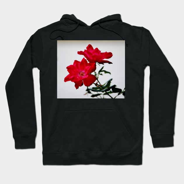 Color Me Red Flowers Hoodie by Cynthia48